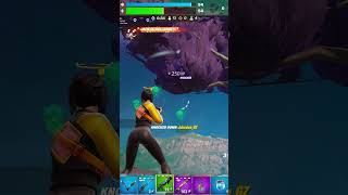 Snippy Bird fortnite [upl. by Nylsoj]