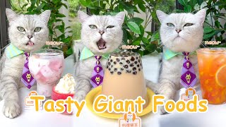 【Chef Cat Cooking】Cats Creative Food Ideas  CandyampDrinks  Chef Cat Cooking TIKTOK 2022 [upl. by Giuseppe]