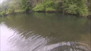 Luxembourg Fishing Big trout in the Sure River [upl. by Rolyks]