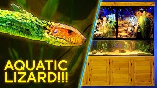 Aquatic Lizard — Giant 7000 Paludarium [upl. by Cogen973]