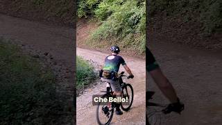 Stesso parere mtb gravel cicloturismo [upl. by Wallford913]