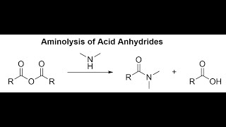 Aminolysis of Acid Anhydrides [upl. by Tlaw]