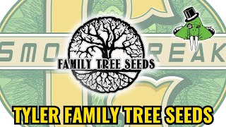 Tyler Family Tree Seeds October 23 2024 [upl. by Lamrert]