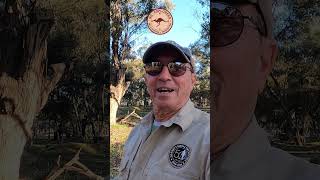 Garrett Goldmaster 24K Tips Ground Tracking shorts garrettmetaldetectors goldprospecting [upl. by Medeah]