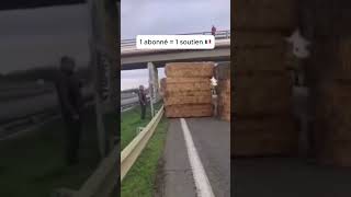 La colere des agriculteurs monte en Occitanie 😡🚜 blocus agriculteurs farming agriculture [upl. by Reneta]