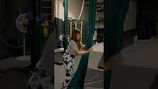 Learning what a belay is✨aerialsilk aerialsilks [upl. by Egres]