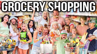 GROCERY SHOPPING for 16 KiDS [upl. by Shreeves]