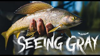 Best Grayling Fishing in the WORLD  Fly Fishing Alaska [upl. by Collis156]