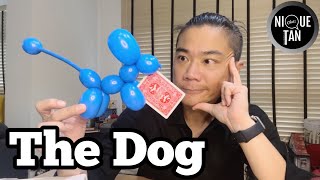 Nique Tan Chats  The Dog by TCC Magic amp Harry Yang [upl. by Jensen738]