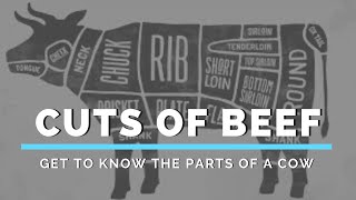 Cuts of Beef Get to Know the Parts of a Cow [upl. by Etiragram905]