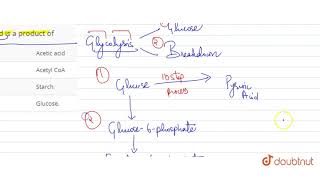 Pyruvic acid is a product of [upl. by Pen415]