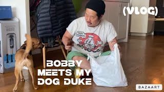 Bobby meets my dog Duke VLOG [upl. by Ardnohsed224]