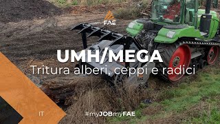 Trincia fresa forestale al lavoro con Trattore cingolato FENDT [upl. by Perlie442]