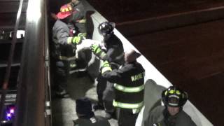 Crews remove baby pigs from overturned truck [upl. by Joanna]