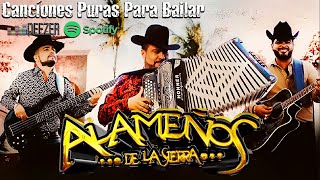 Popurri Los Alameños🔥Las Mas Chingonas PaBailar MIX 🔥 Huapangos y Cumbias Sierreñas [upl. by Kunkle]