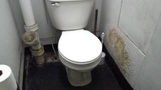 bathroom tour Shanty Mansfield toilet [upl. by Rema]