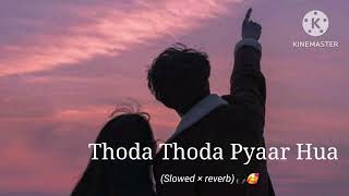 Thoda Thoda Pyaar Hua Tumse🌹LofiSlowed x reverbStebin Ben amp Nilesh Ahuja LofiBloom [upl. by Aihsoem481]