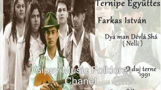 Farkas István  Ternipe  Nelli Gipsy folk [upl. by Kaltman]