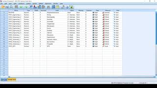 Datacontrole in SPSS  Instructie [upl. by Torbert]