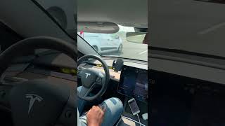 ELON MUSK SELF DRIVING TESLA INSANE ENDING comedy usa fvp canada funny crazy elonmusk [upl. by Hannah]