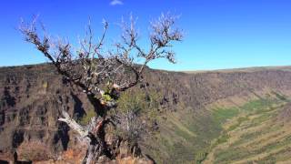 Steens Mountain Wilderness [upl. by Jara277]