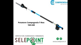 Potatore elettrico a batteria Campagnola T REX con asta telescopica 160240 per lavori di potatura [upl. by Novoj201]