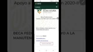 Activación de la ficha escolar y postulación a las becas [upl. by Aleek]