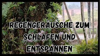 ⛈️🌿 REGENGERÄUSCH ZUM EINSCHLAF 💤🌙 [upl. by Oler]