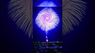 The biggest Firework 💀🎇🙏🏻 foryou viralshort viralvideo aura skull funk fireworks [upl. by Nirre]