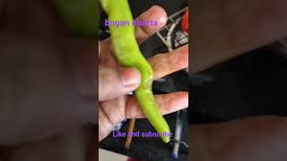 bengan bhartaringa fry bringalsimple receipytrendingvideo [upl. by Ayekan264]