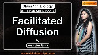 Facilitated Diffusion  Transport in Plants  CBSE Class 11 Biology [upl. by Nahgeam]