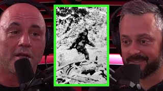 Joe Talks About Bigfoot and UFOs [upl. by Roderigo763]