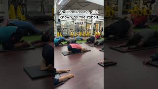 Shashankasana viralvideo yogaexcercise yogaasana aloyoga trending shortsvideo [upl. by Charteris312]