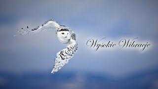 ⭐ Syberia LSO Wysokie Wibracje Mix TDW ⭐ [upl. by Tandie695]