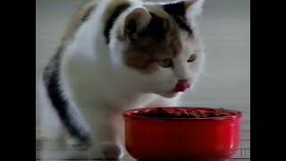 Kal Kan Whiskas Cat Food Commercial 1990 [upl. by Cherry]