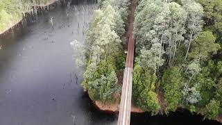 Disused railway bridge near Rosebery Northwest Tasmania Mavic Air [upl. by Ecraep33]