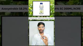 सोयाबीन का एंथ्रेक्नोस रोगAnthracnose disease of soybeansoybeandiseaseviralvideotrendingvideo [upl. by Lonnard]