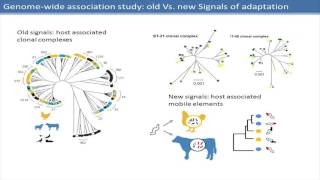 CLIMB Launch Sam Sheppard GWAS Religion or a Promising New Approach [upl. by Jeana]