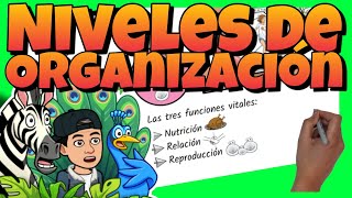 🔬 NIVELES de ORGANIZACIÓN de los SERES VIVOS para NIÑOS 🦠 Células tejidos sistemas y aparatos [upl. by Uhsoj]