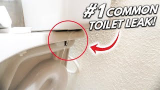 How To Fix The 1 Hidden Toilet LEAK DIY [upl. by Robina839]