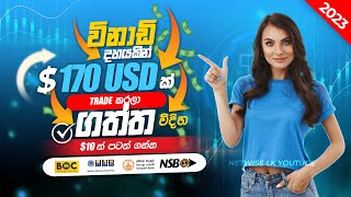 E Money Sinhala  Online Money Sinhala  Online Jobs at Home  Earn Money Online 2022  E money Job [upl. by Eizle]