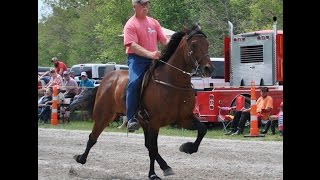 2017 Big Guns Speed Class [upl. by Winterbottom]