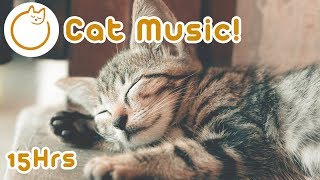 15 horas de música relaxante para gatos  Acalme meu gato [upl. by Anyer648]