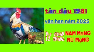 Dự đoán vận hạn tuổi tân dậu 1981 năm 2025 Cho nam mạng và nữ mạng tốt xấu trong 12 tháng [upl. by Nyrem]