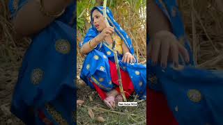 manrajdiwananewsong2024manrajdiwana shotsfeed trendingshorts virlsong viralshorts ytshors [upl. by Katha823]