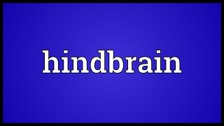 Hindbrain Meaning [upl. by Massimo]