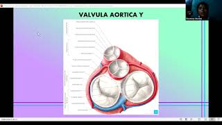 HISTOLOGIA DE LAS VALVULAS CARDIACAS [upl. by Widera312]