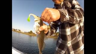 Trout Fishing in St Johns River [upl. by Unity52]