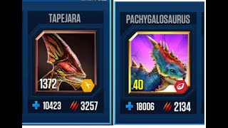 TAPEJARA VS PACHYGALOSAURUS II Jurassic World The Game II Dinosaurs Game [upl. by Noorah]