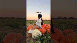 cutest pumpkin patch 🥹🎃💌 pumpkinpatch fall pinterestgirl [upl. by Alyag549]